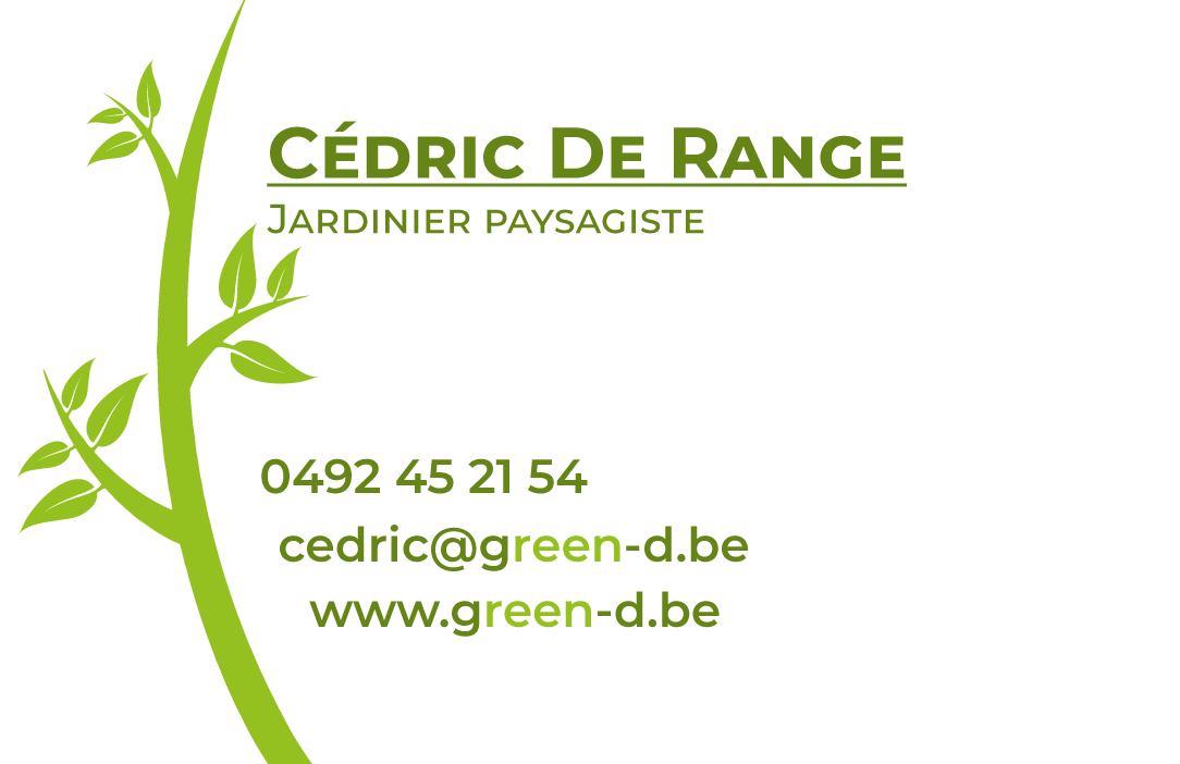 Green-D carte de visite verso